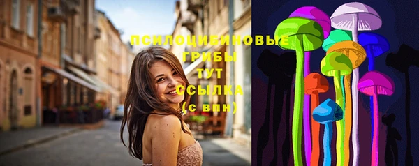 дурь Елабуга