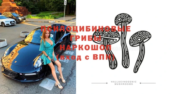 дурь Елабуга