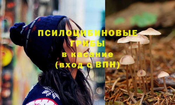 сатива Елизово