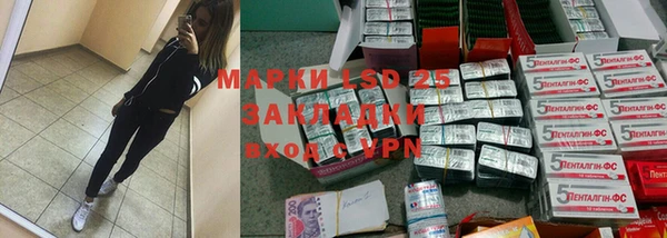 сатива Елизово