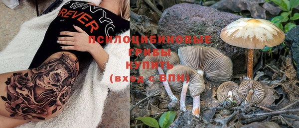 дурь Елабуга